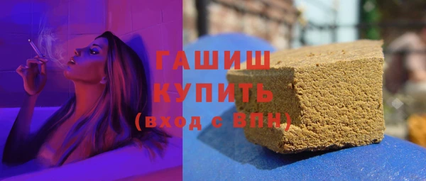 spice Инта