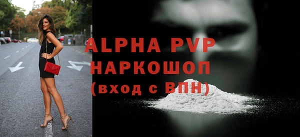 винт Инсар