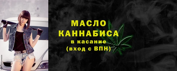 spice Инта
