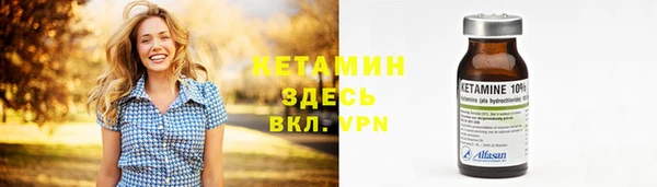 spice Инта