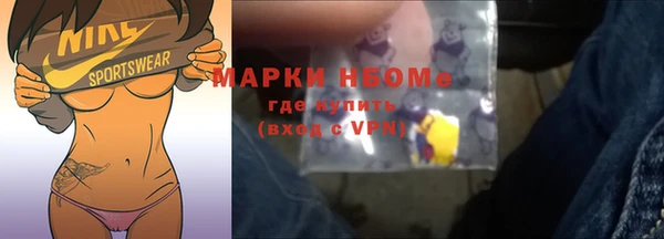 spice Инта