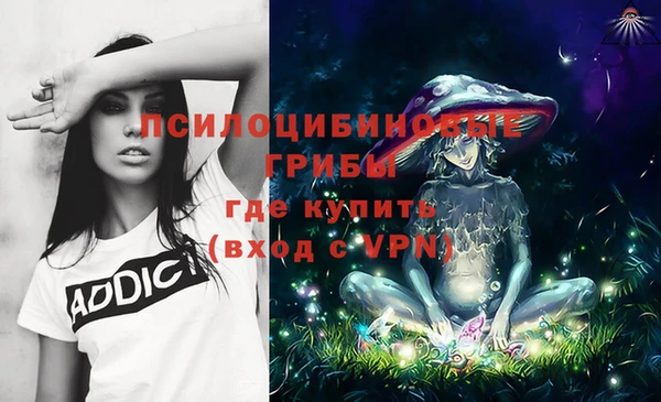 spice Инта