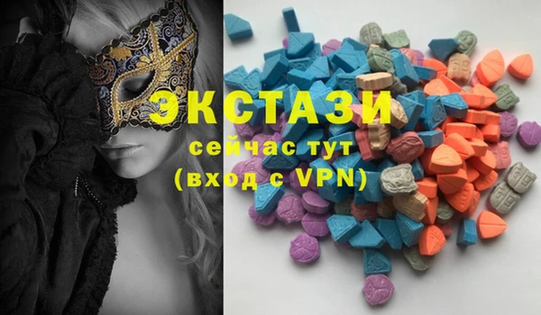 spice Инта