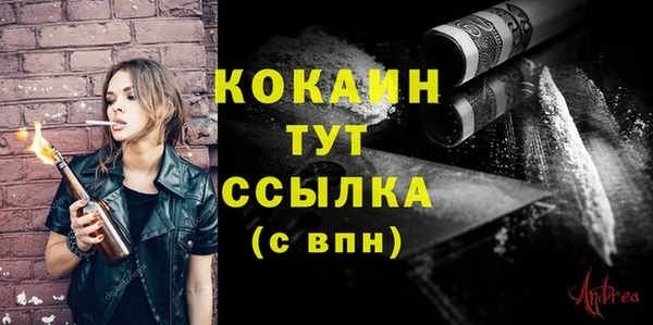 винт Инсар
