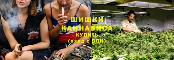 винт Инсар