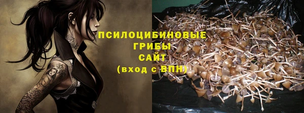 spice Инта