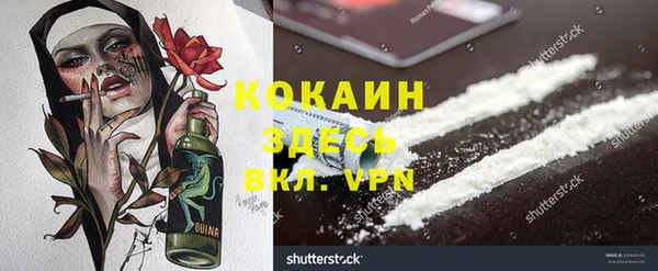 spice Инта