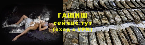 spice Инта
