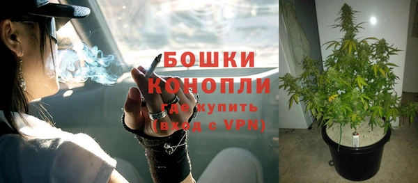 винт Инсар