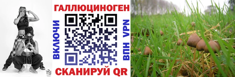 Псилоцибиновые грибы прущие грибы  Купить где  Горбатов 